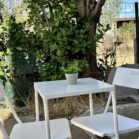 Douce Escale A La Cite *